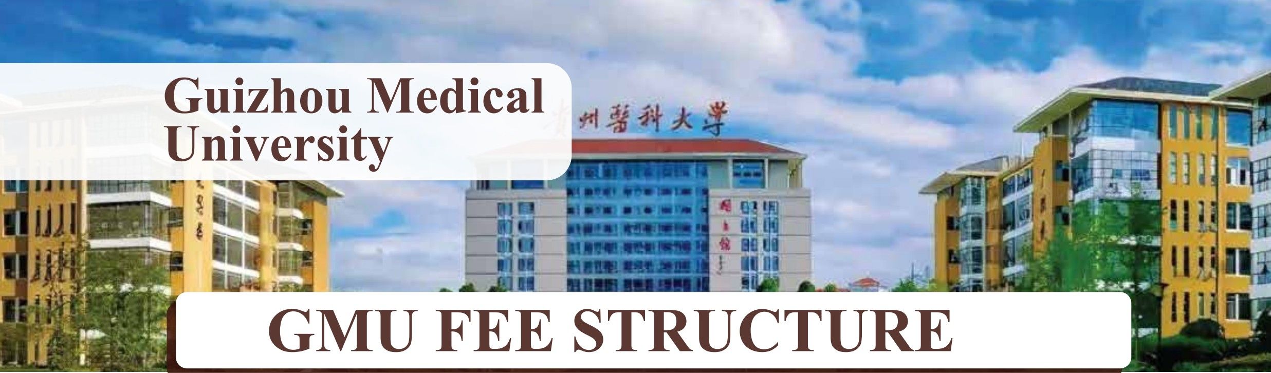 Guizhou Medical University