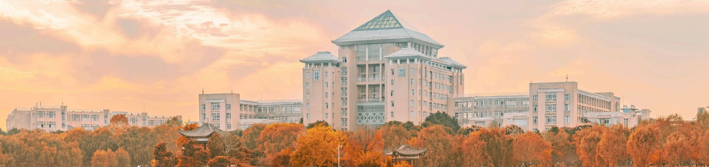Wuhan University of Science and Technology