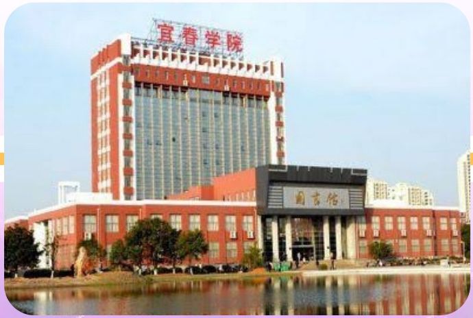 Yichun University